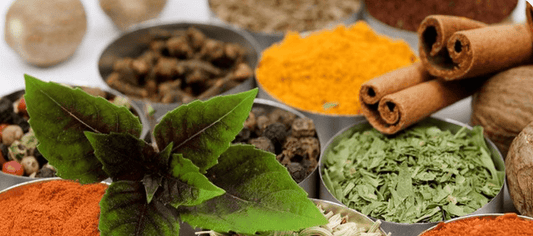 Authentic Ceylon Spices Direct from Sri Lanka | Premium Island Spices | Ceylon Spice Garden - Ceylon Spice Garden