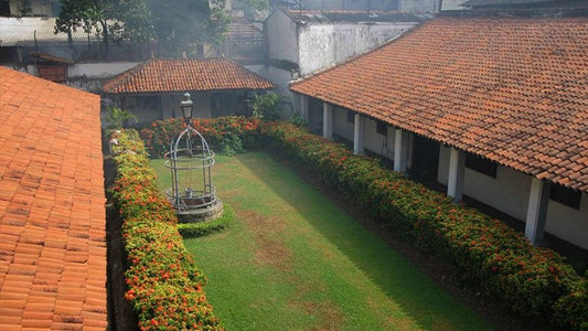 Fair Trade Ceylon Spice Companies to Support: Complete Guide 2025 - Ceylon Spice Garden