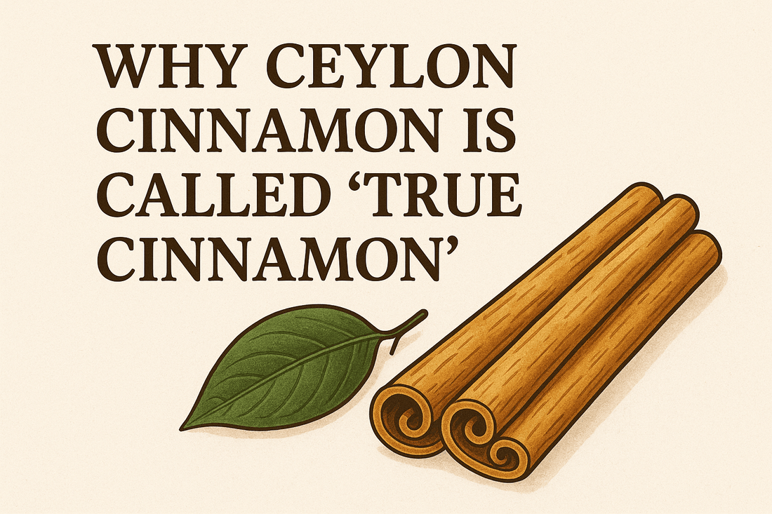 Why Ceylon Cinnamon is Called 'True Cinnamon' | Ceylon Spice Garden - Ceylon Spice Garden