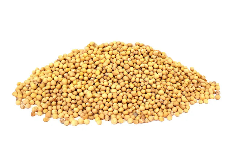 Black & Yellow Mustard Seeds - Anticancer, Selenium & Flavour