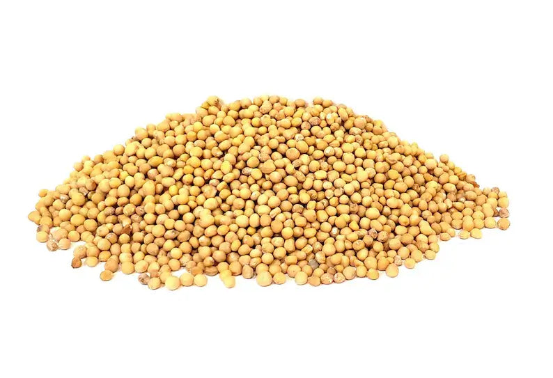Close-up of yellow mustard seeds spread on white surface, organic spice for cooking, rich in glucosinolates and antioxidants, SKU: YELLOWMUS50
