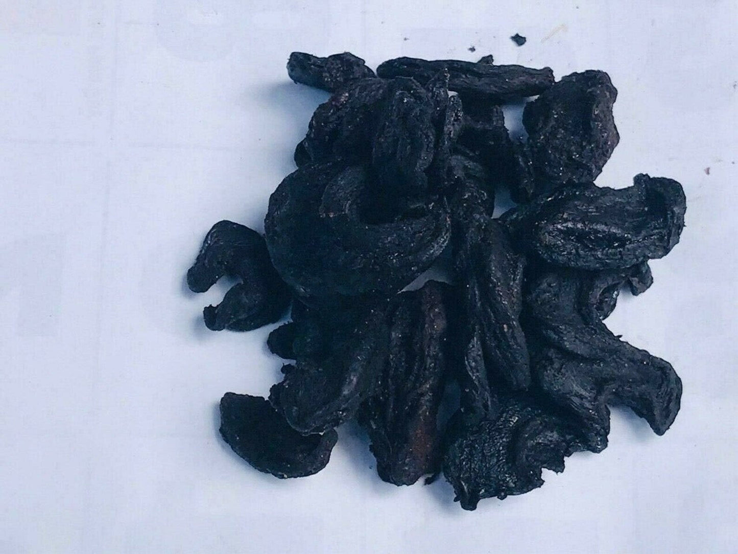 Authentic Ceylon Garcinia Cambogia from Sri Lanka's Pristine Forests - Ceylon Spice Garden