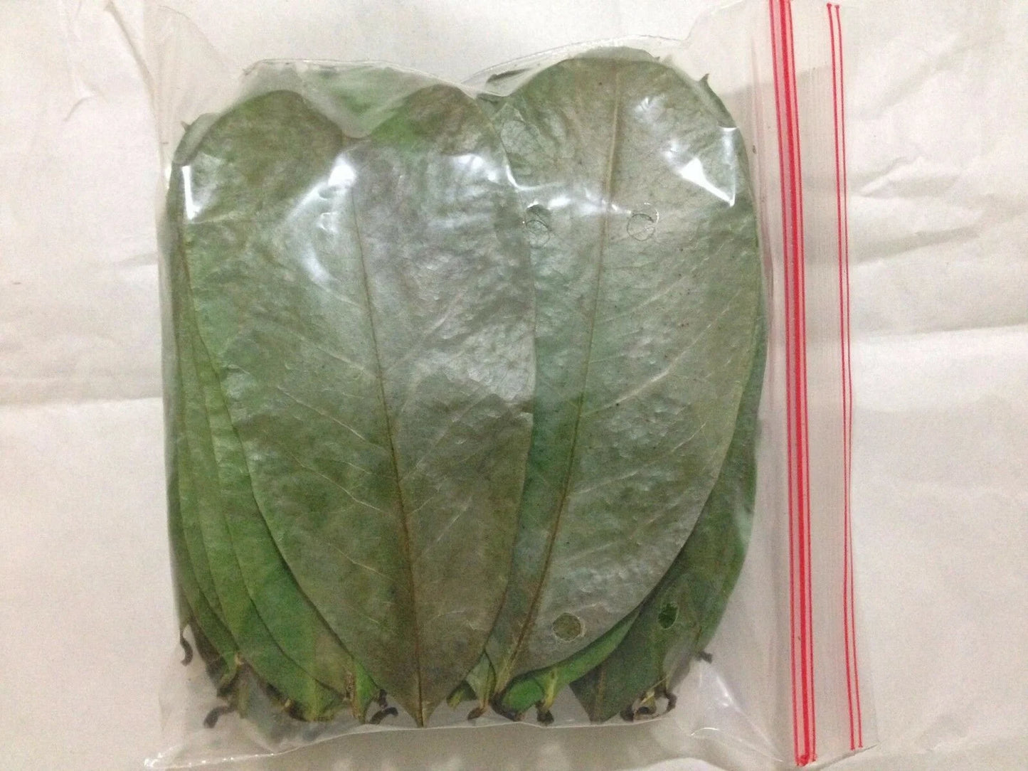 Organic Dried Soursop Leaves – Graviola / Guanabana / Annona Muricata (Ceylon Origin)