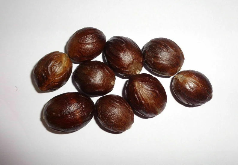 Premium Ceylon Nutmeg from Sri Lanka - Authentic True Nutmeg