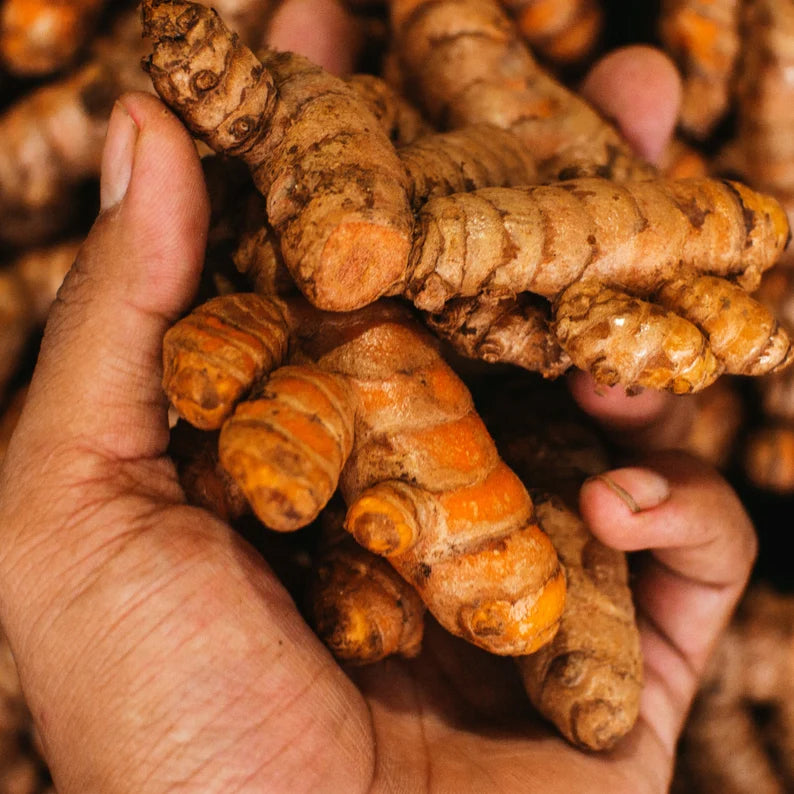 Premium Organic Ceylon Turmeric Powder - 100% Pure Sri Lankan Curcumin - Anti-Inflammatory Golden Spice