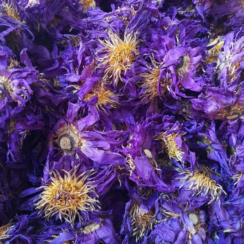 100% Organic Egyptian Blue Lotus Flowers – Whole & Crushed (Nymphaea Caerulea)