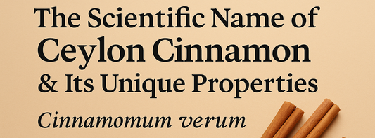 The Scientific Name of Ceylon Cinnamon & Its Unique Properties