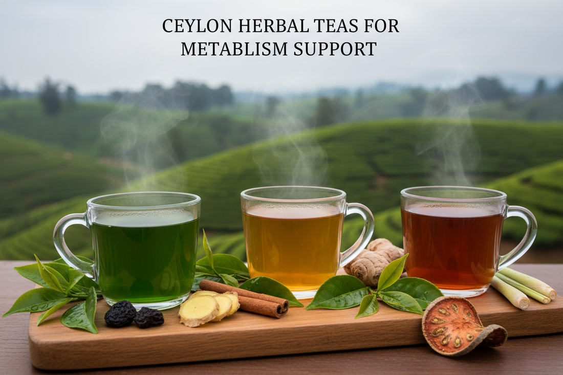 Best Herbal Teas for Metabolism Support: 3 Ceylon Teas Compared