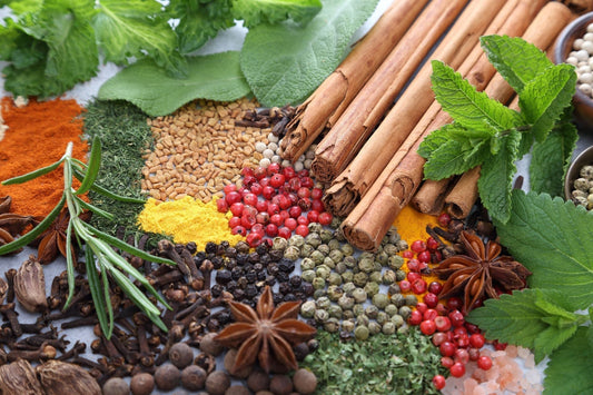 Best Online Stores for Sri Lankan Cooking Spices: Complete Guide 2025 - Ceylon Spice Garden