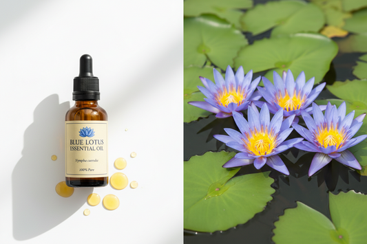 Blue Lotus Oil vs Flowers: Which Is Better for You?