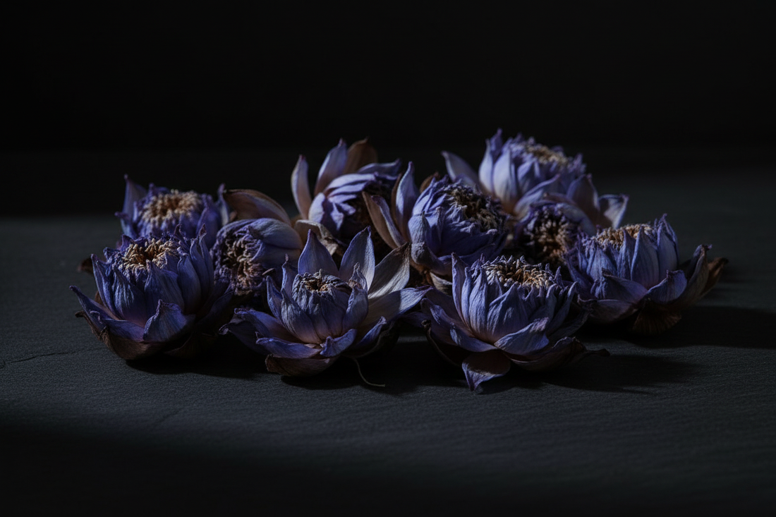 Why Blue Lotus is Often Misunderstood Before It's Tried | Complete 2026 Guide