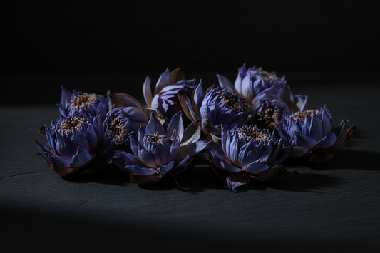 Why Blue Lotus is Often Misunderstood Before It's Tried | Complete 2026 Guide