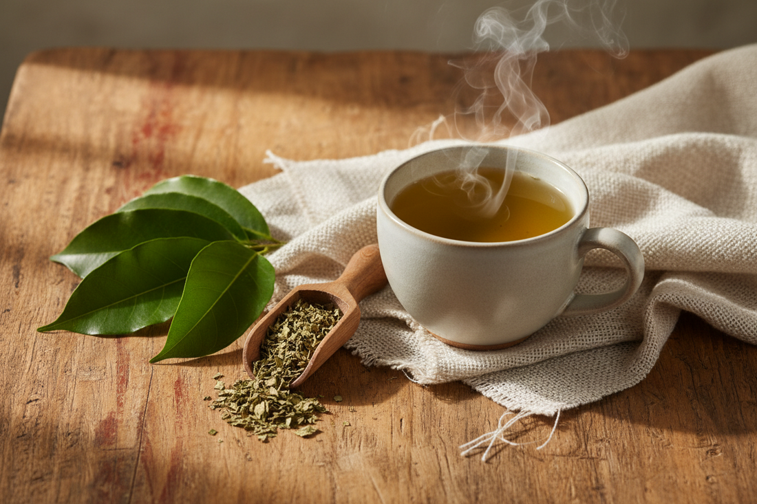 Soursop Leaf Tea Buyer Guide
