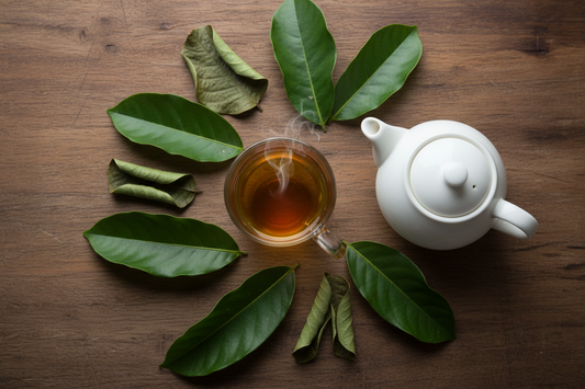 Soursop Leaves Tea: Traditional Use, Brewing & Safety