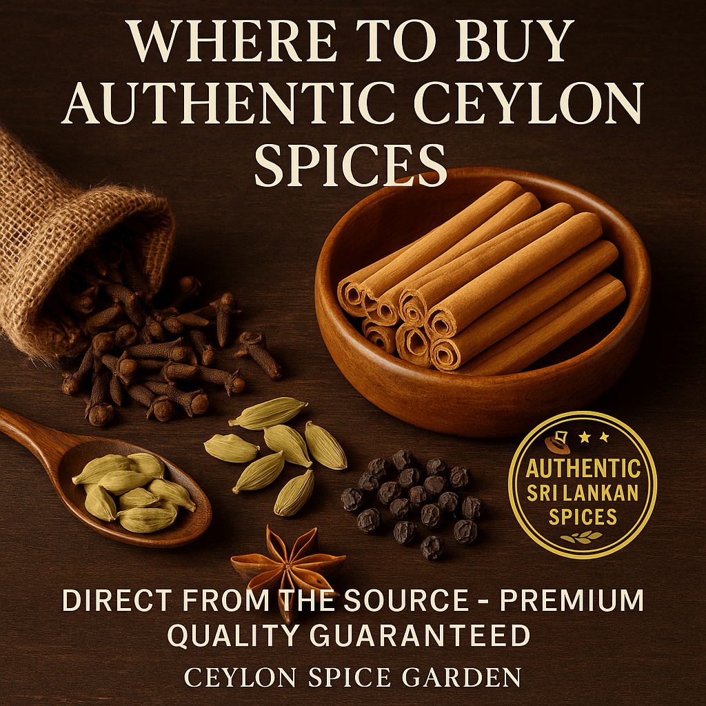 Where to Buy Authentic Ceylon Spices: Complete Guide 2025 | Ceylon Spice Garden - Ceylon Spice Garden