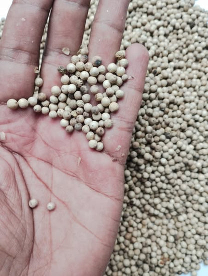 Premium Ceylon White Pepper - Authentic Sri Lankan Whole Peppercorns