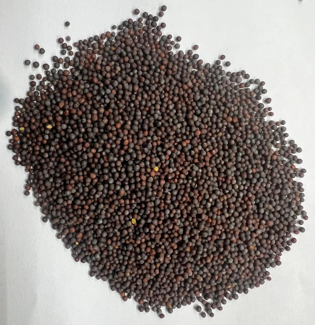Black & Yellow Mustard Seeds - Anticancer, Selenium & Flavour
