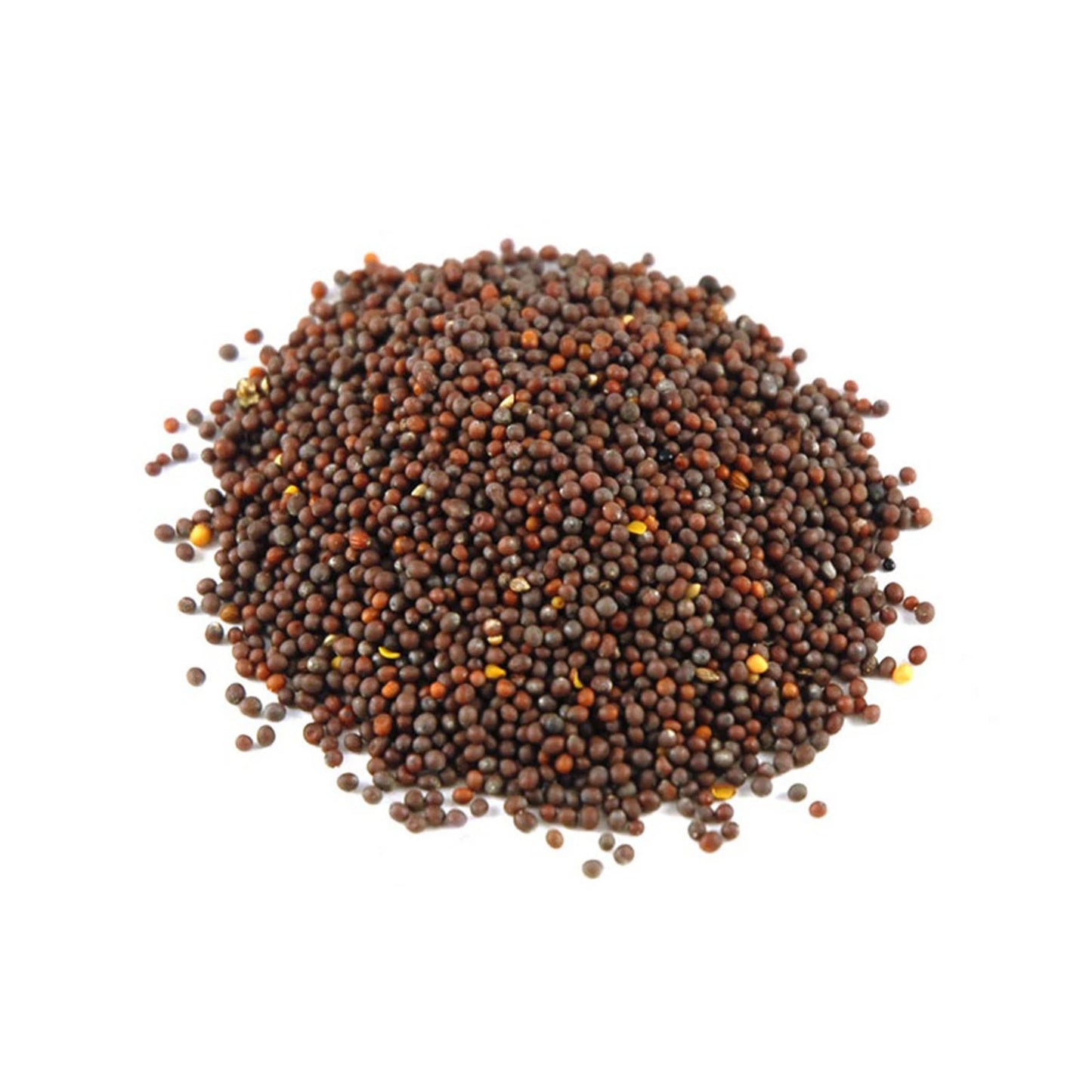 Black & Yellow Mustard Seeds - Anticancer, Selenium & Flavour