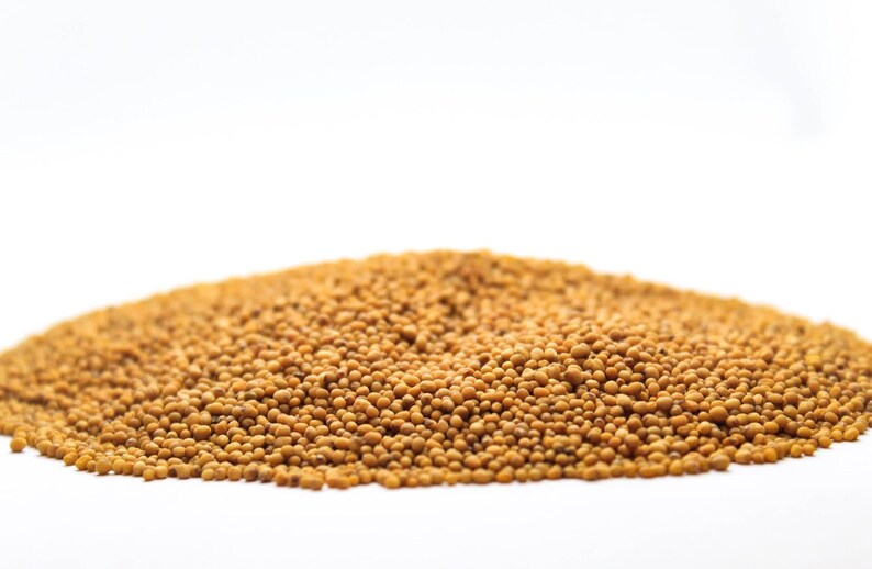 Black & Yellow Mustard Seeds - Anticancer, Selenium & Flavour