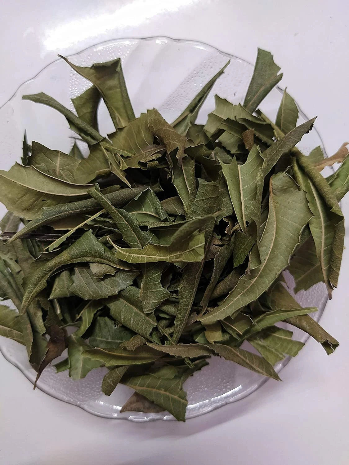 Premium Ceylon Neem Leaves (Azadirachta indica) - Nature's Sacred Purifier &amp; Wellness Herb