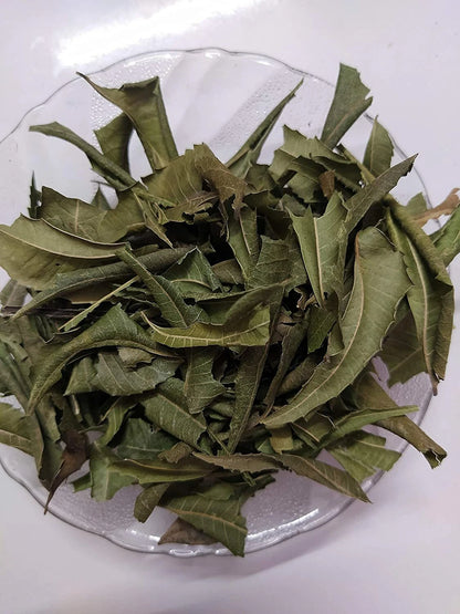 Premium Ceylon Neem Leaves (Azadirachta indica) - Nature's Sacred Purifier &amp; Wellness Herb