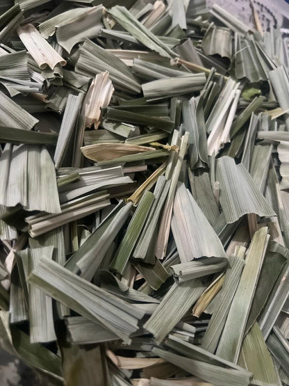 Premium Ceylon Pandan Leaves (Pandanus amaryllifolius) - The Vanilla of the East