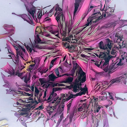 Dried Red Water Lily Flowers - Nymphaea rubra Herbal Tea