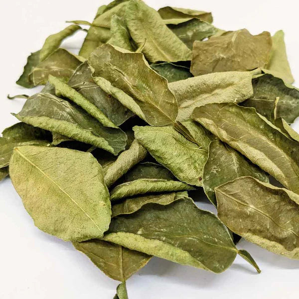 Premium Ceylon Kaffir Lime Leaves (Citrus hystrix) - Authentic Asian Culinary and Wellness Herb