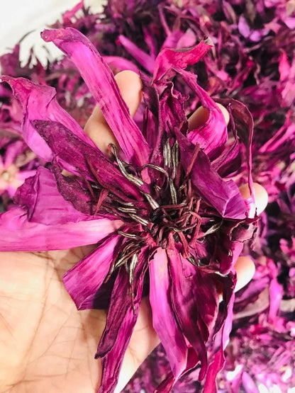 Dried Red Water Lily Flowers - Nymphaea rubra Herbal Tea