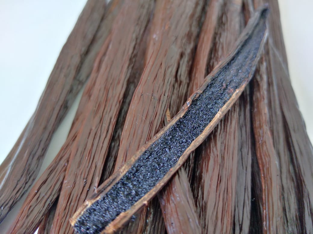 Bundle of organic Ceylon vanilla beans showing 17cm+ length and Grade A+ quality characteristics