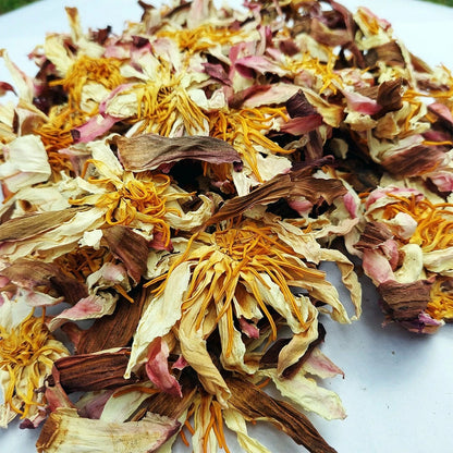 Dried White Lotus Flowers - Nelumbo nucifera Herbal Tea